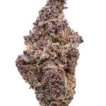 BANANA CREAM CAKE (INDICA) | HIGH THCA FLOWER