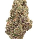 DONNY BURGER (HYBRID) | HIGH THCA FLOWER