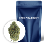 TKO OG Smalls - Shop Hello Mary