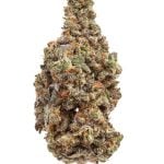 UNICORN CANDY (SATIVA) | HIGH THCA FLOWER