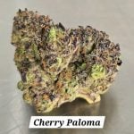 5 Strain Indoor Flower Combo