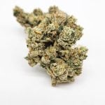 Apple Fritter ( Indoor) Indica Hybrid