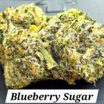Blueberry Sugar Indoor THCa Hemp Flower