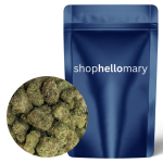 Bubblegum Gelato Smalls - Shop Hello Mary