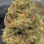 Cadillac Rainbow - THCA- TOP SHELF