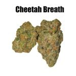 Cheetah Breath THCa Hemp Flower