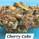 Cherry Cake Indoor THCa Hemp Flower