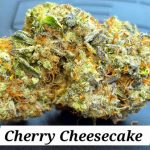 Cherry Cheesecake Living Soil THCa Hemp Flower