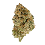 Daily Grape (33.04% THCA)