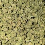 Dirty Sprite Indoor Smalls