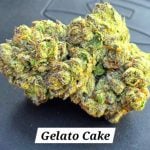 Gelato Cake THCa Hemp Flower