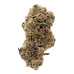 Ghost Squadron (Indoor) | Preston Herb Co