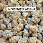 Grapetopia Living Soil Smalls