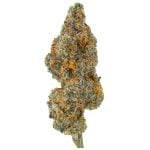 GSG (Girl Scout Glue)