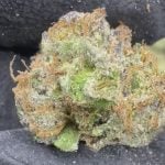 Gumbo - THCa Exotic Flower - LIL TREES 1/2 Ounce