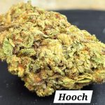 Hooch THCa Hemp Flower