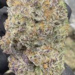 Ice Cream Cake - THCA - EXOTIC INDOOR