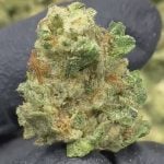 Jiffy Cake - Gold Nuggets - THCa Flower TOP SHELF SMALLS