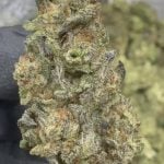 Jiffy Cake - THCA - TOP SHELF