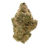 Lazer Gun (Indoor) | Preston Herb Co