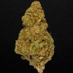 Mac1 - 23% THCA Indoor Hemp Flower
