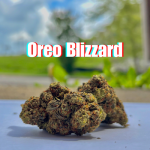 Oreo Blizzard THCa Hemp Flower