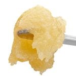 Papaya Badder - THCA Concentrate