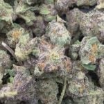 Pink Runtz - THCa Exotic Flower - LIL TREES 1/2 Ounce