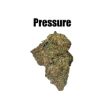 Pressure THCa Hemp Flower