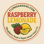 Raspberry Lemonade: Small Batch