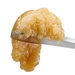 Sour Apple Sauce Badder - THCA Concentrate