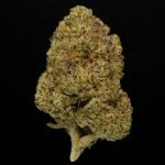 Triple Burger - 24% THCA Indoor Hemp Flower