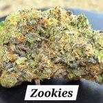 Zookies Indoor THCa Hemp Flower