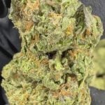 Apple Fritter - THCA FLOWER - CLASSIC RESERVE