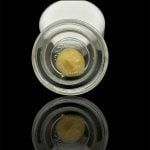 Blueberry Muffin Live Rosin