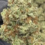 Blueberry Muffin - THCA FLOWER - TOP SHELF