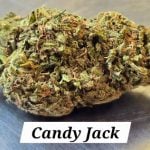 Candy Jack THCa Hemp Flower