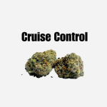 Cruise Control THCa Hemp Flower
