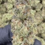 Donny Burger - THCA FLOWER - AA INDOOR