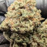 Gas Muffinz (indoor)
