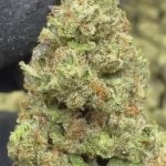 Grapes and Cream - THCA FLOWER - CLASSIC RESERVE