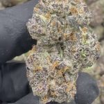 Gumbo - THCA FLOWER - EXOTIC INDOOR