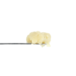 Honey Bananas THCa Live Rosin by Puffin Solventless | hellomary
