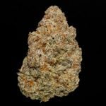 Ice Cream Waffle Cone - 24% THCa Hydro Hemp Flower