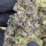 Jiffy Cake - THCA FLOWER - TOP SHELF