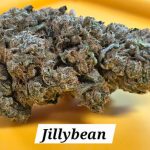 Jillybean THCa Hemp Flower