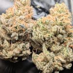 Kush By The Foot (indoor)