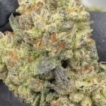 Kush Mintz- THCA FLOWER - CLASSIC RESERVE