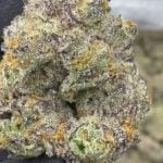 Lemon Cherry Runtz - THCA FLOWER - EXOTIC INDOOR