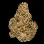 Mango Mojito - 29% THCA Hydro Hemp Flower